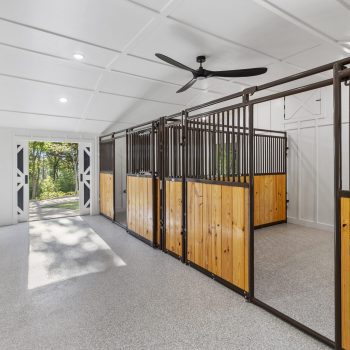 Modern horse stable interior with clean stalls, metal railings, wood paneling, ceiling fan, and open barn doors.