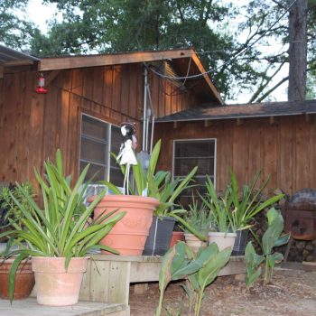 A wooden house with potted plants on a porch, a metal grill to the right, and trees in the background.